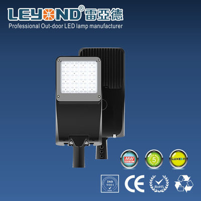 160lm / W IP65 Outdoor Street Lamps Meanwell ELG Green Environmental Protection
